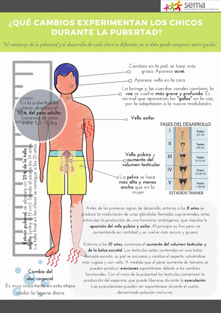 Pubertad en los chicos: son normales estos cambios | ADOLESCENCIASEMA